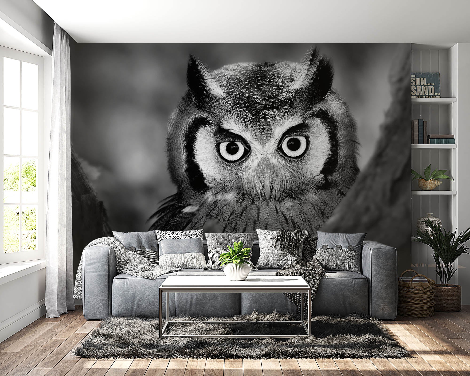 Uil in close-up  - LW00205 Fotobehang