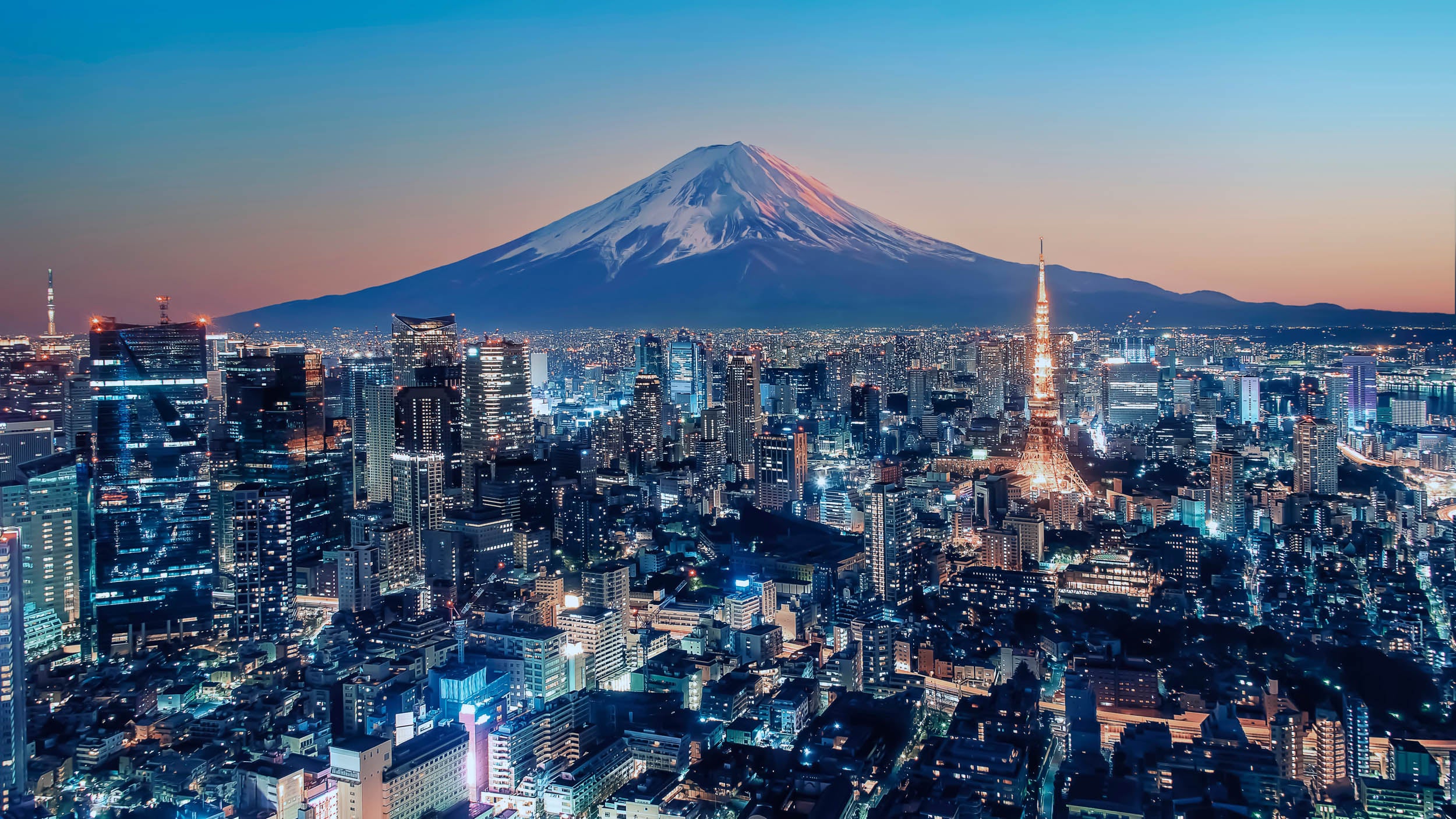 Uitzicht op Tokio en de Mount Fuji - LW00698