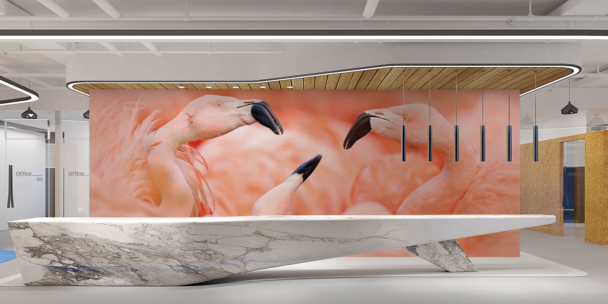 Vechtende flamingo's - LW00189 Fotobehang