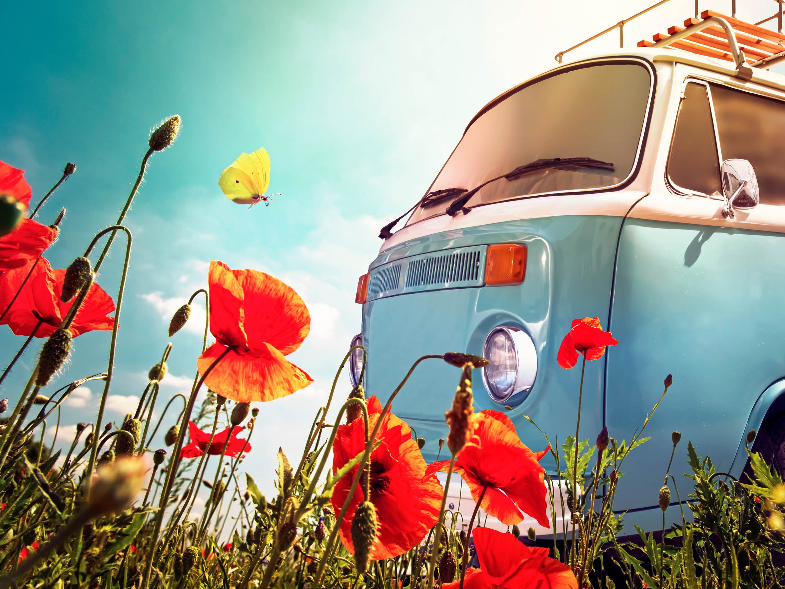 Vintage Camperbus in Bloeiend Klaprozenveld - LW00921 Fotobehang
