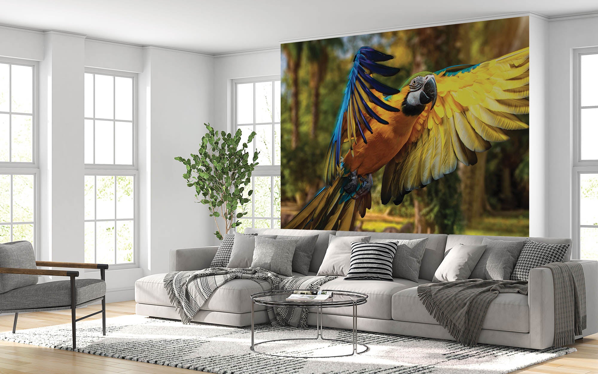 Vliegende papegaai - LW00161 Fotobehang