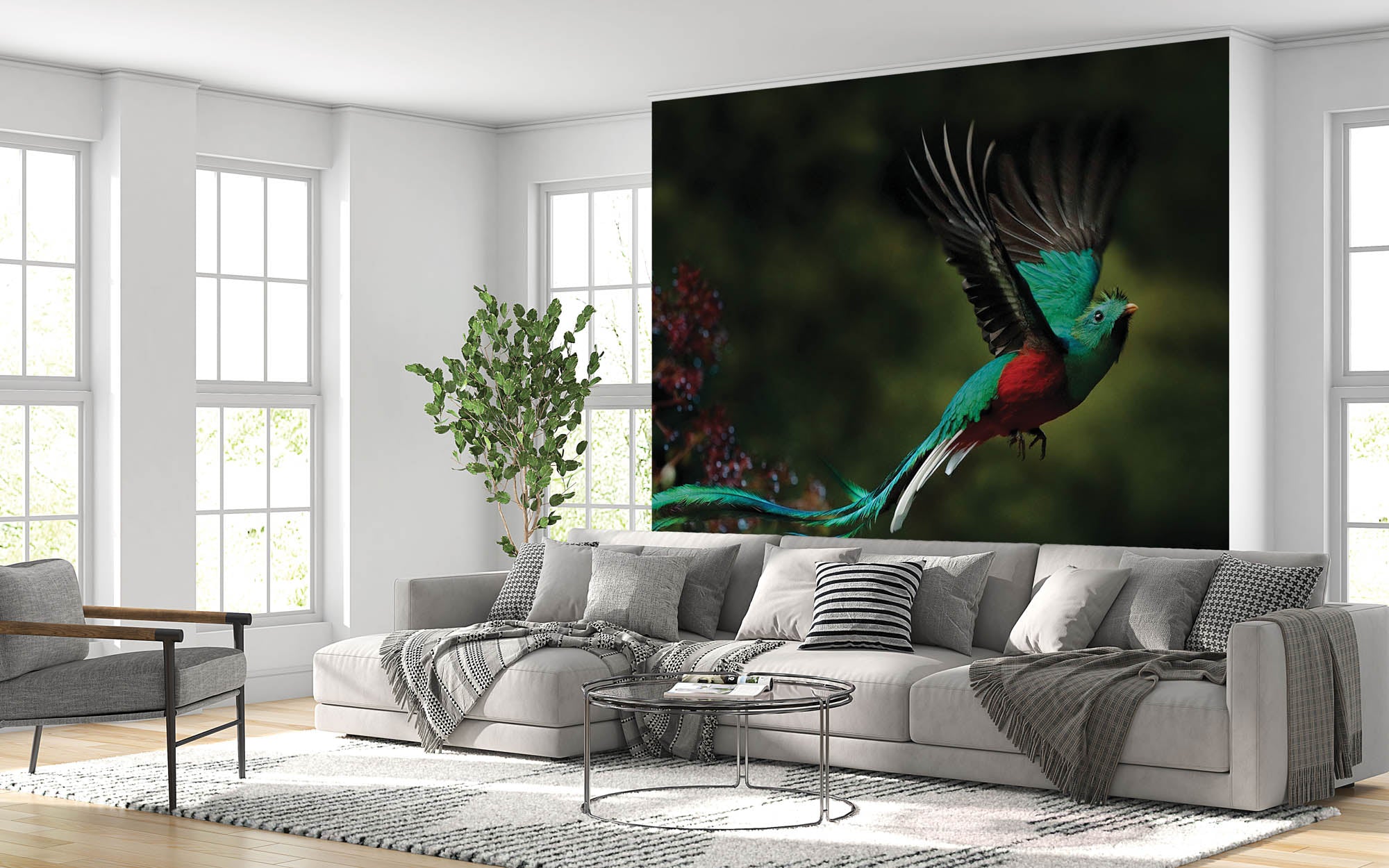 Vliegende vogel in groen-rood  - LW00178 Fotobehang