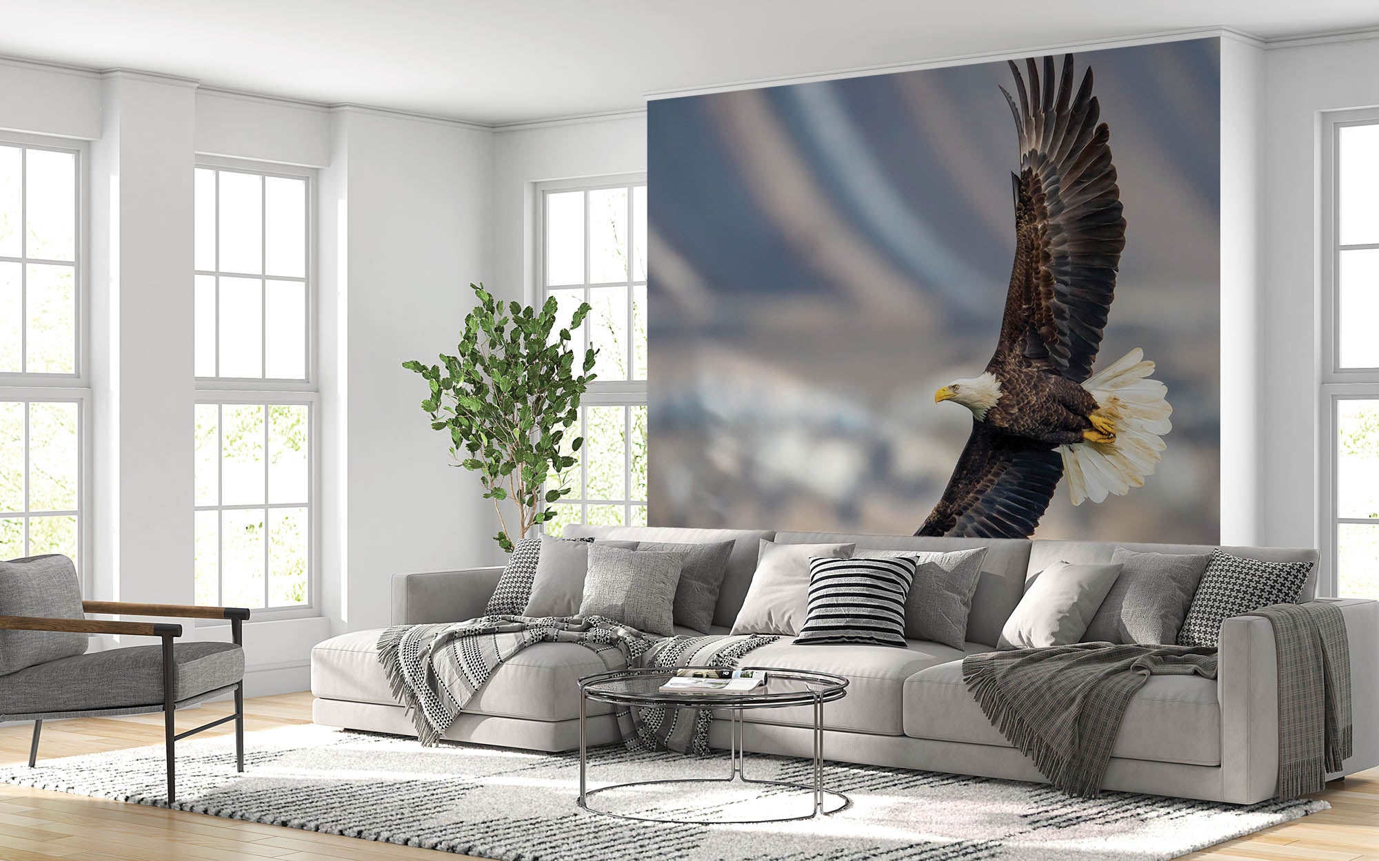 Vliegende zeearend - LW00190 Fotobehang