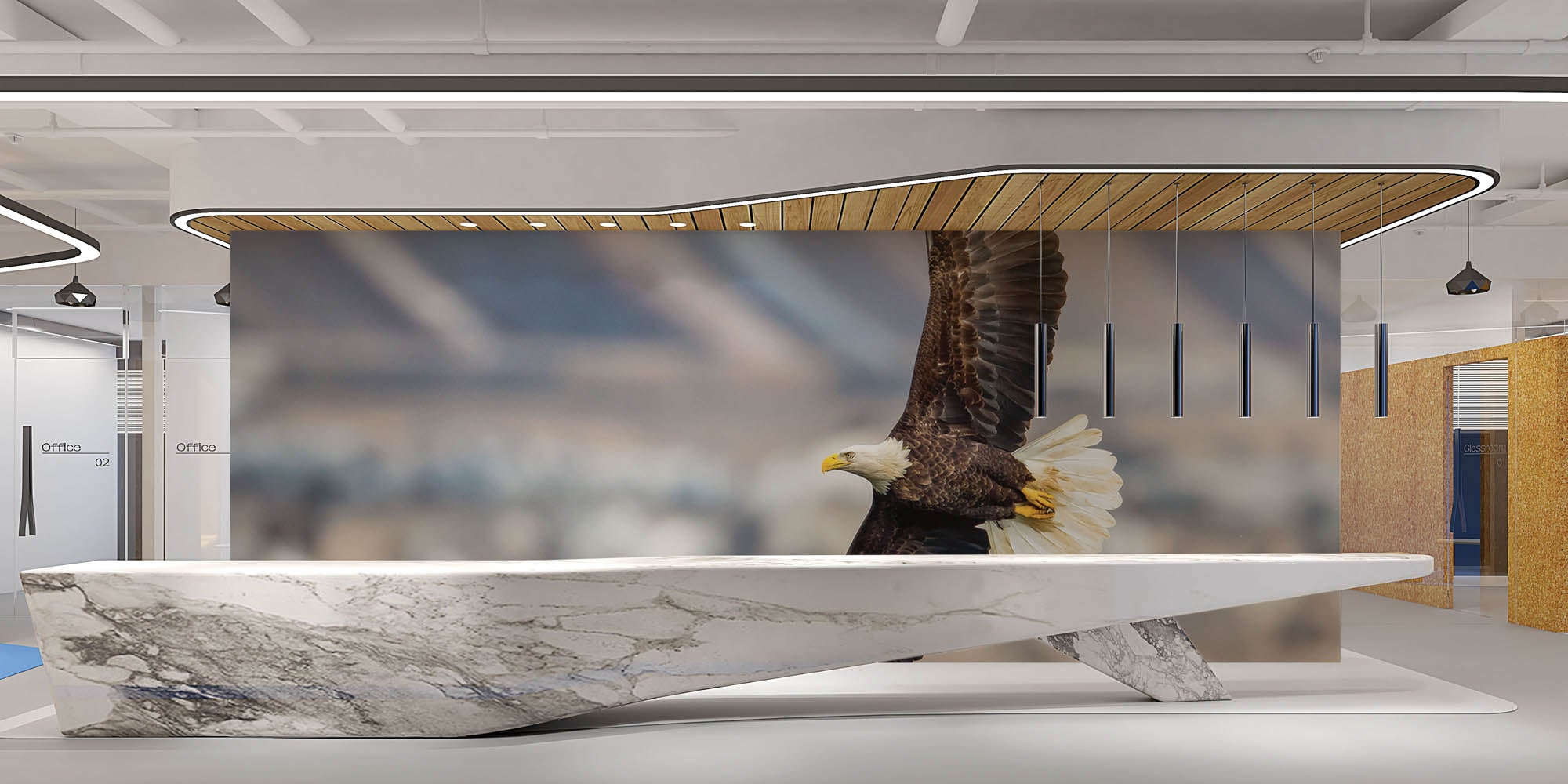 Vliegende zeearend - LW00190 Fotobehang