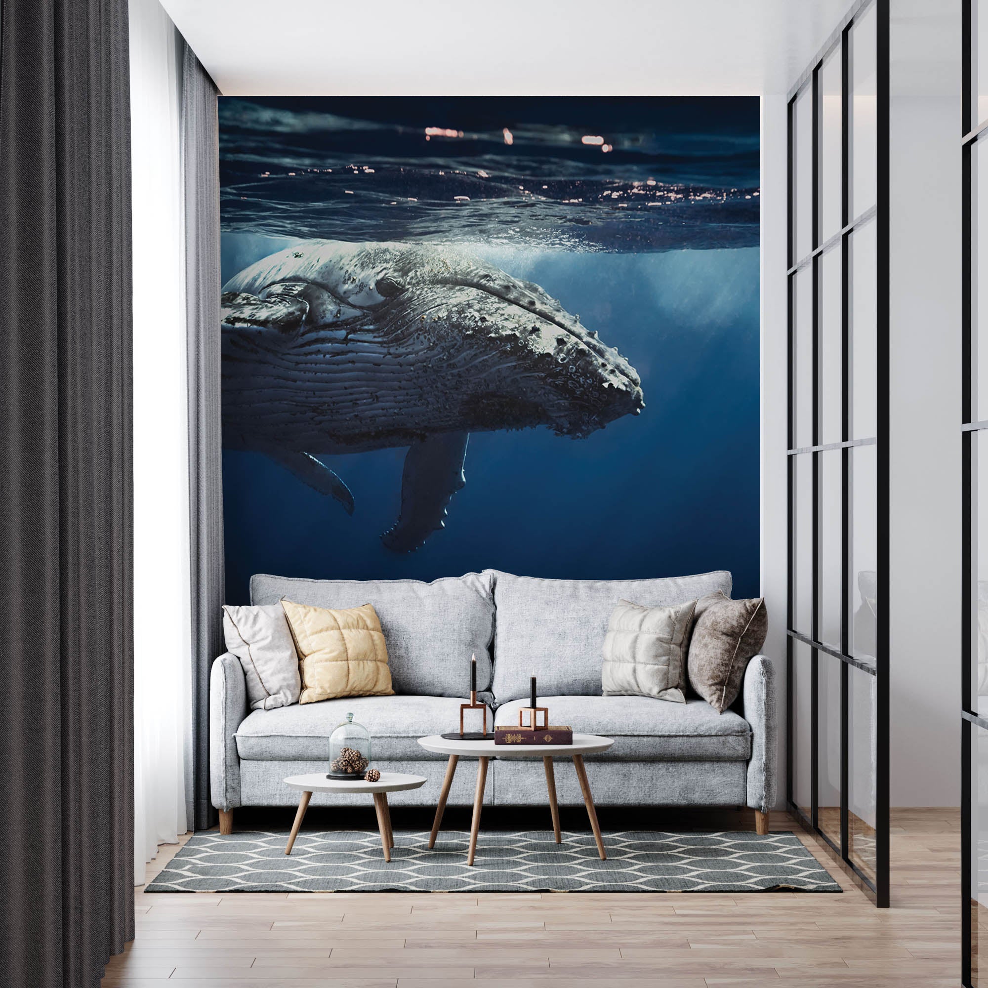 Walvis - LW00163 Fotobehang