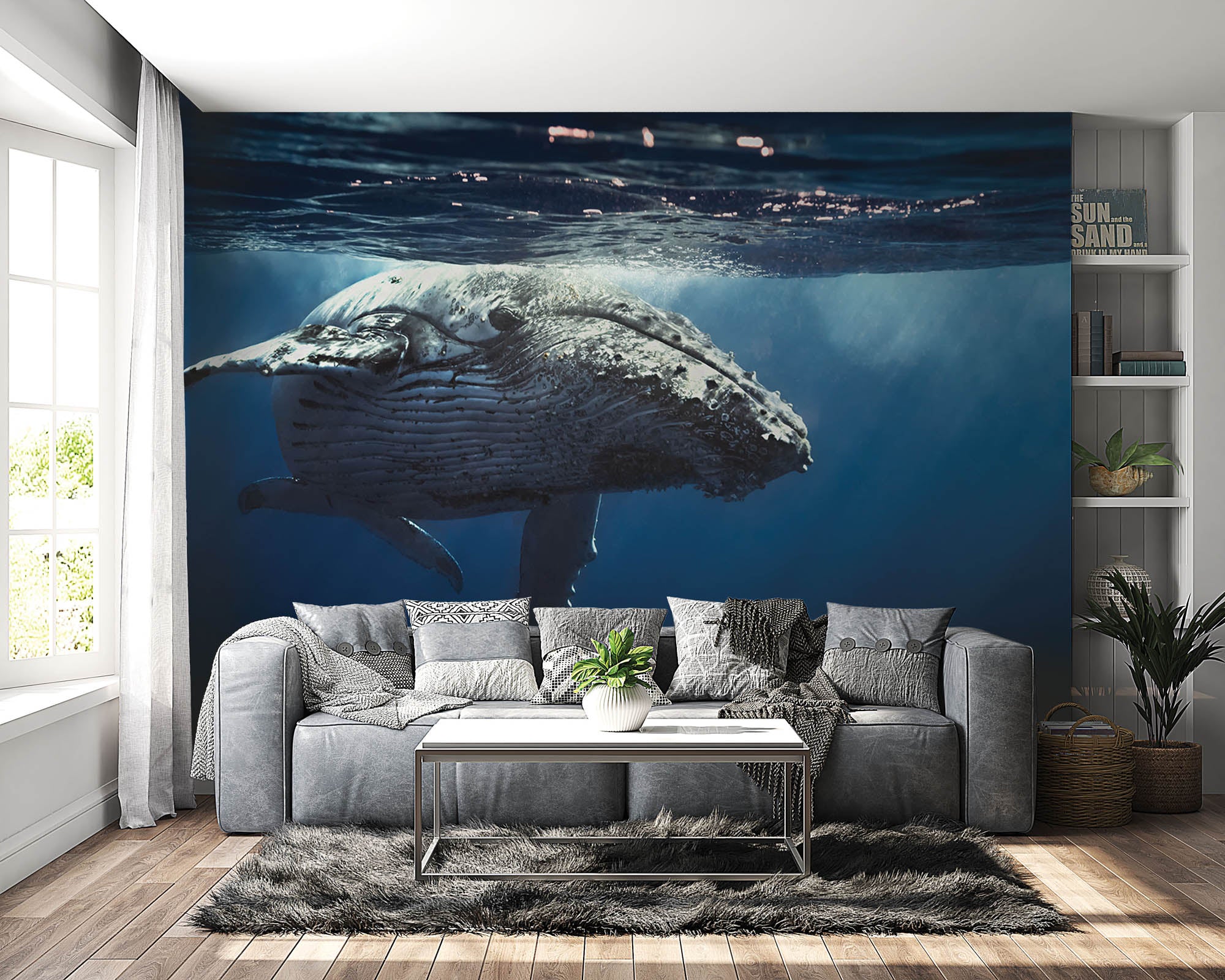 Walvis - LW00163 Fotobehang