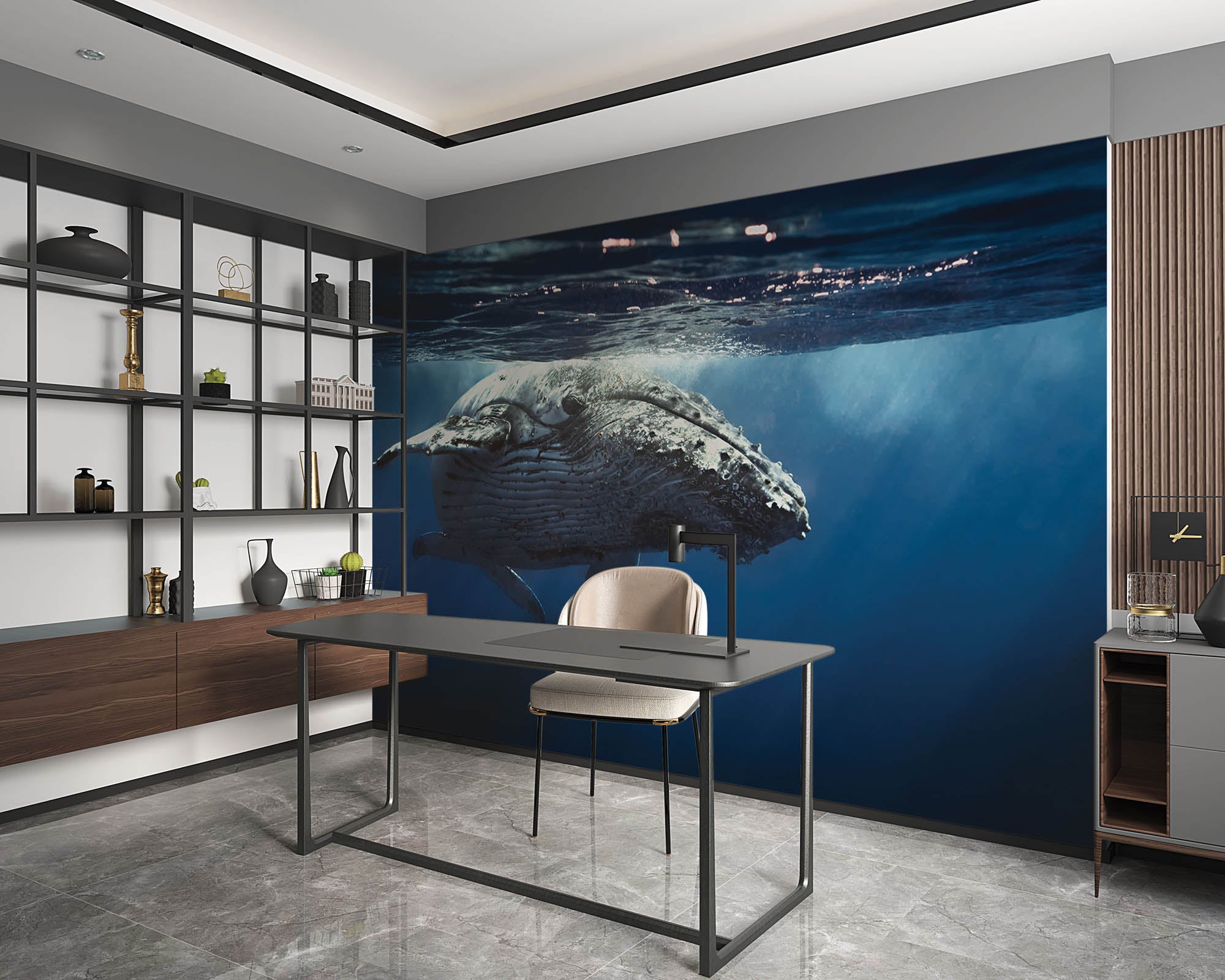 Walvis - LW00163 Fotobehang