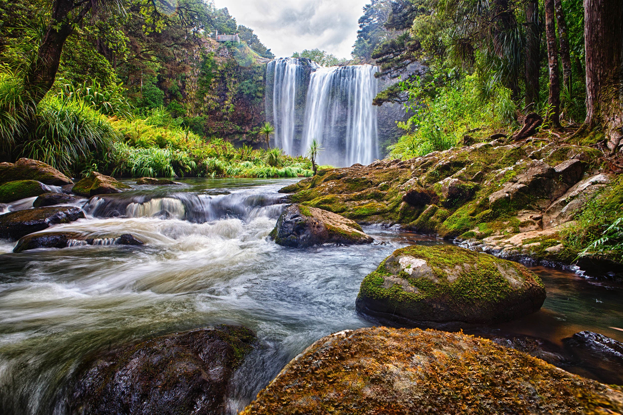 Waterfall in the Lush Forest - LW00884 Fotobehang