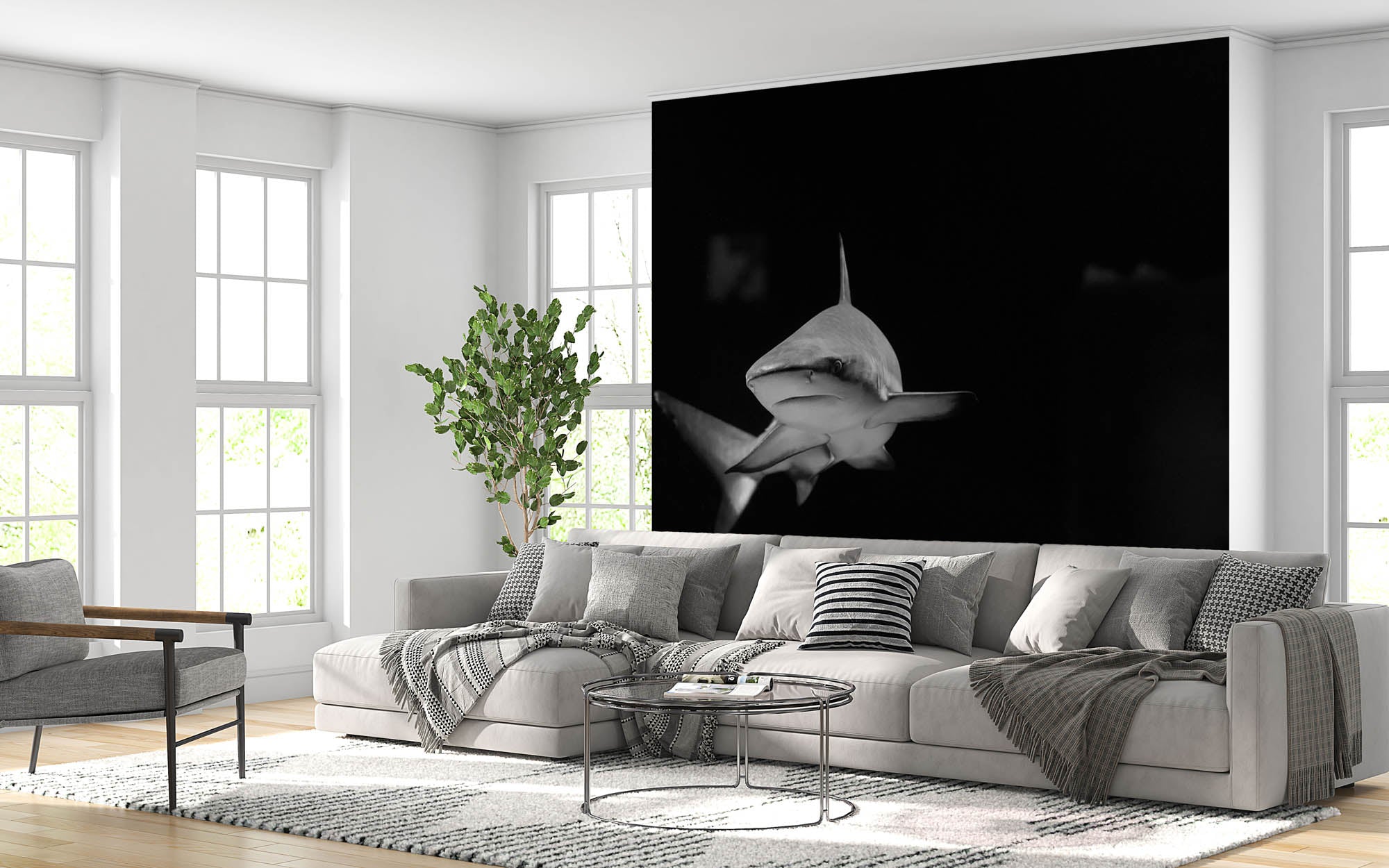 Witte haai  - LW00233 Fotobehang