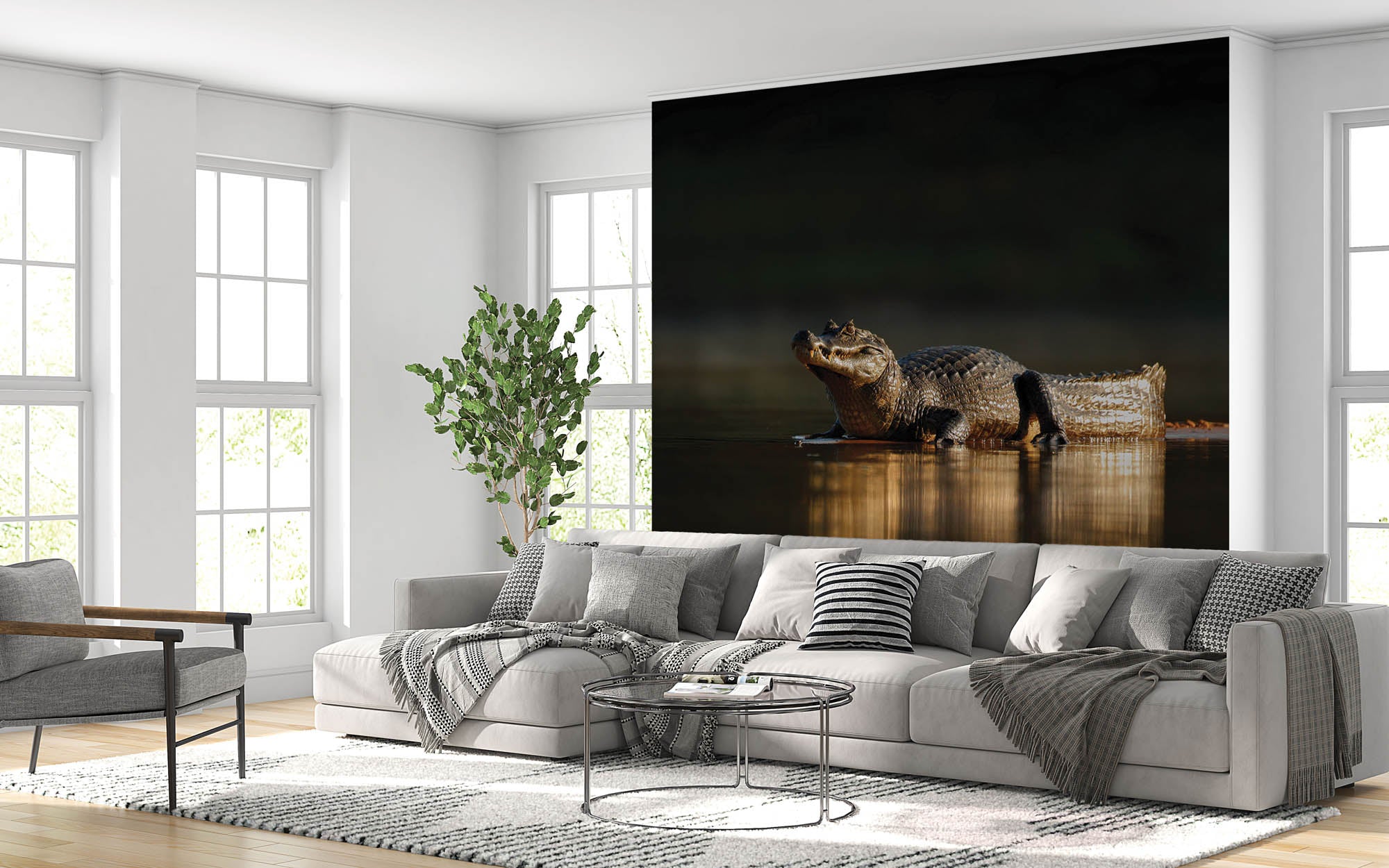 Yacarekaaiman in avondzon  - LW00180 Fotobehang