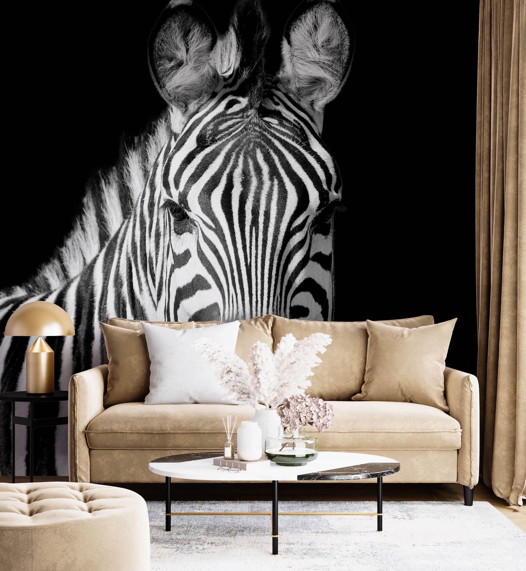 Zebra portret  - LW00224 Fotobehang