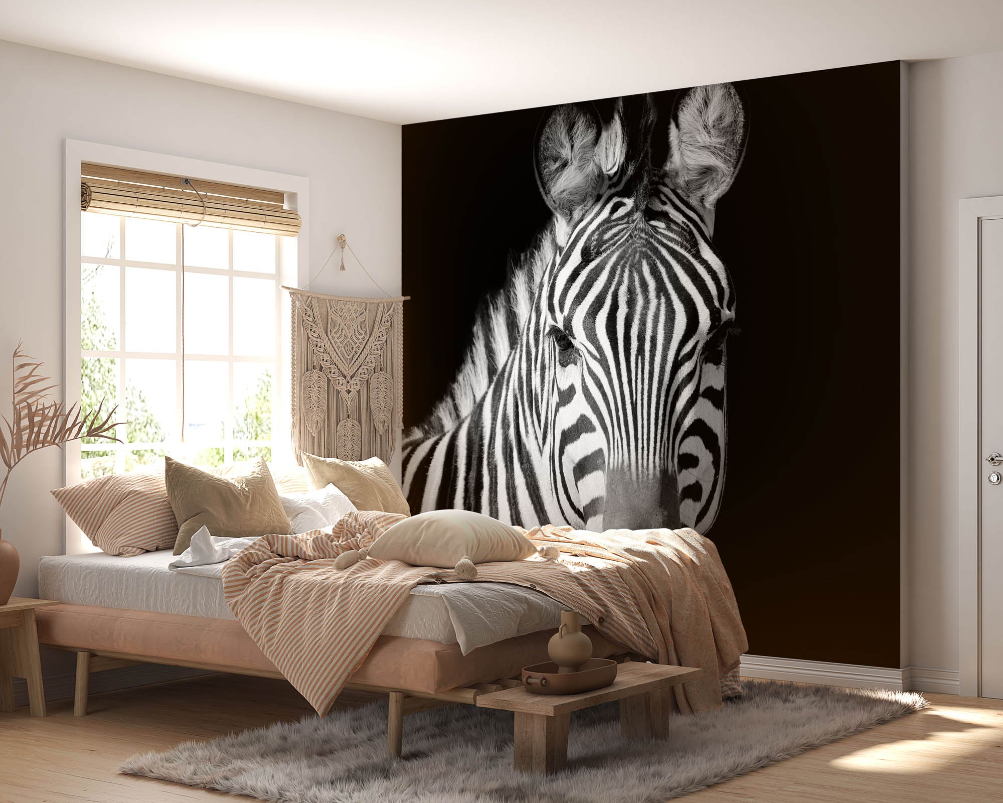 Zebra portret  - LW00224 Fotobehang