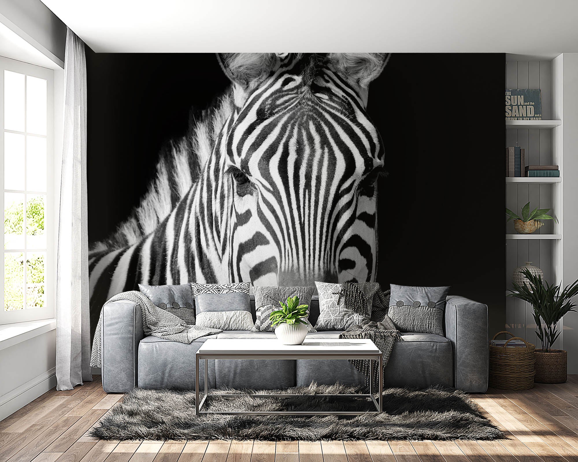 Zebra portret  - LW00224 Fotobehang