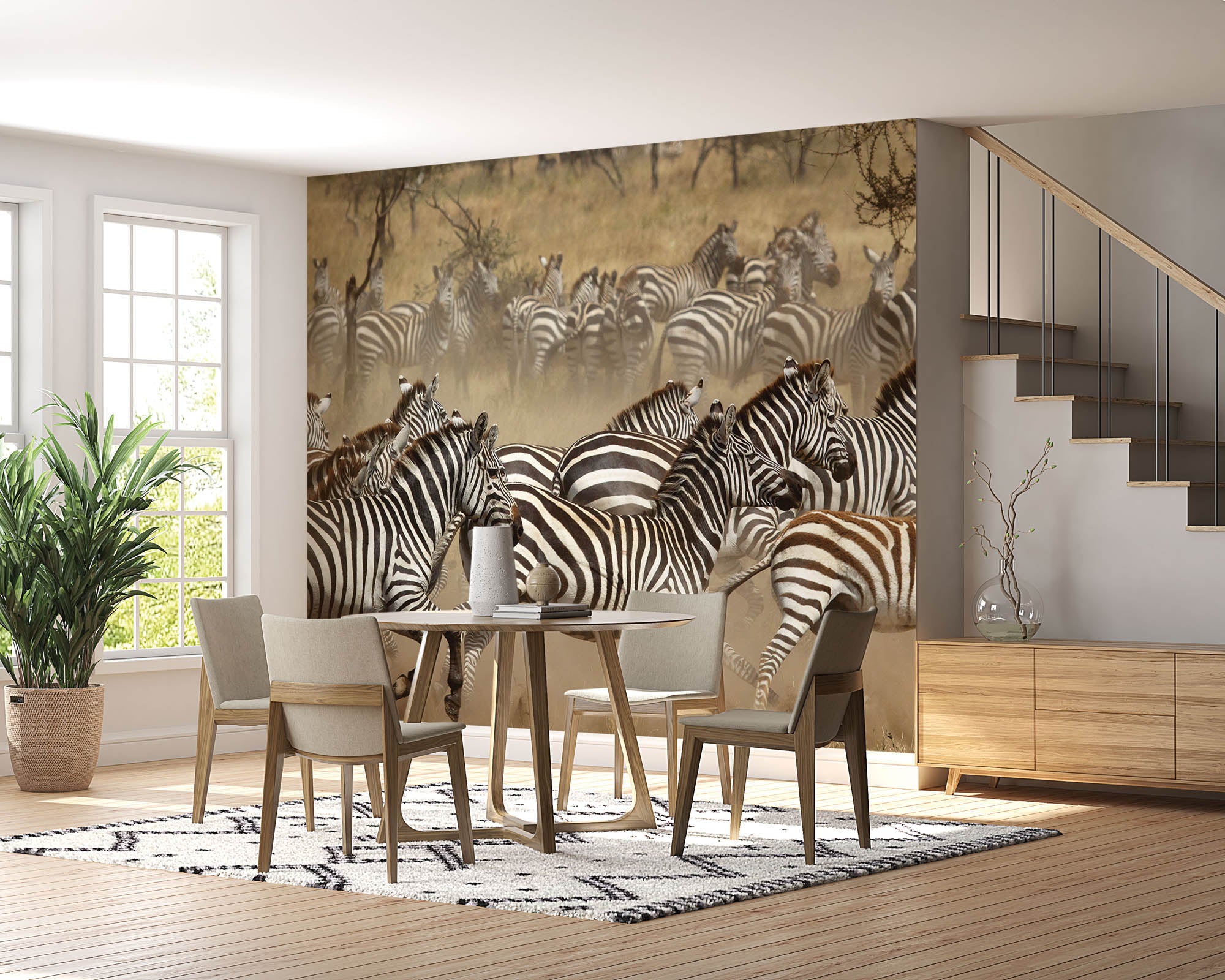Zebra's  - LW00159 Fotobehang