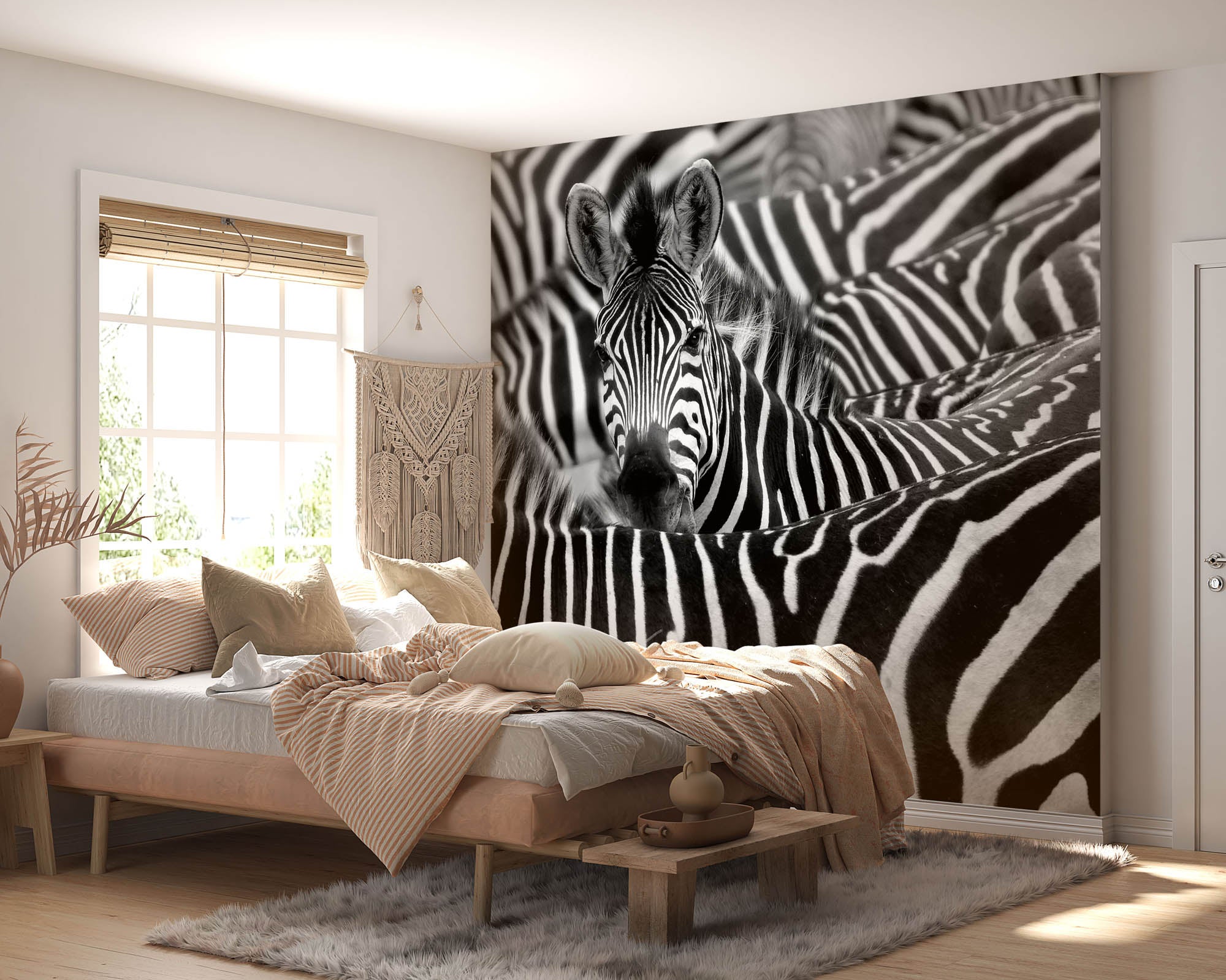 Zebra uitgelicht in kudde - LW00216 Fotobehang