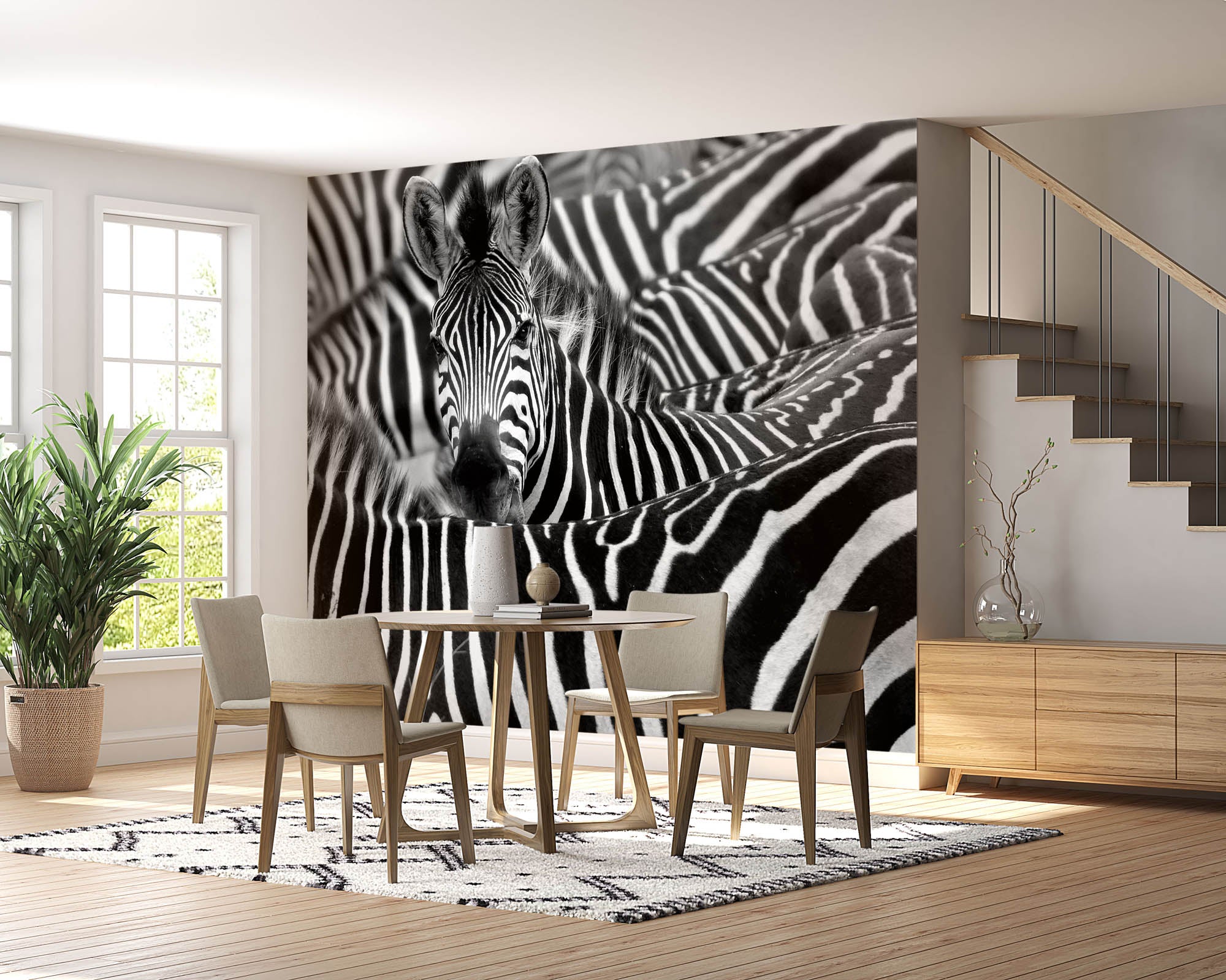 Zebra uitgelicht in kudde - LW00216 Fotobehang