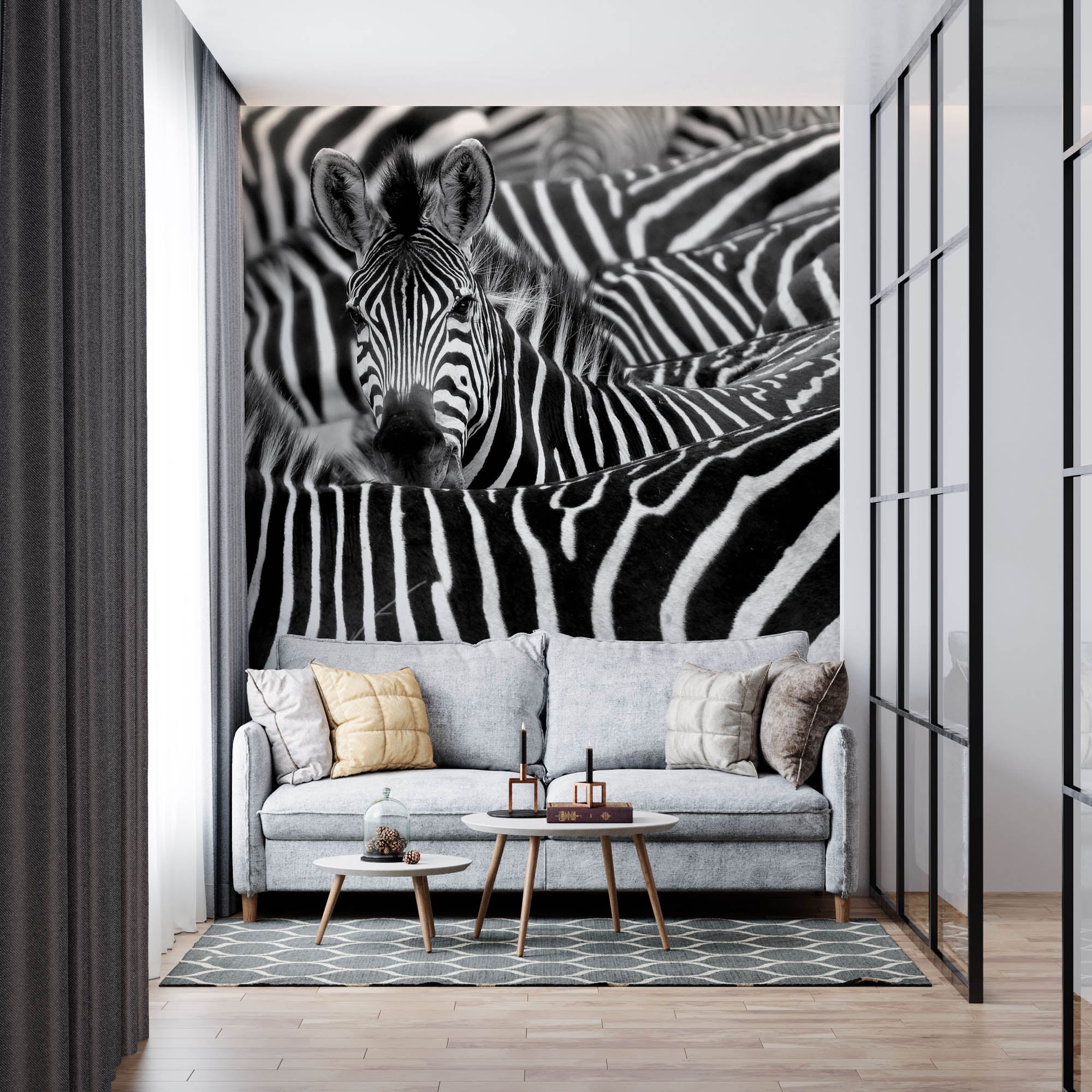 Zebra uitgelicht in kudde - LW00216 Fotobehang