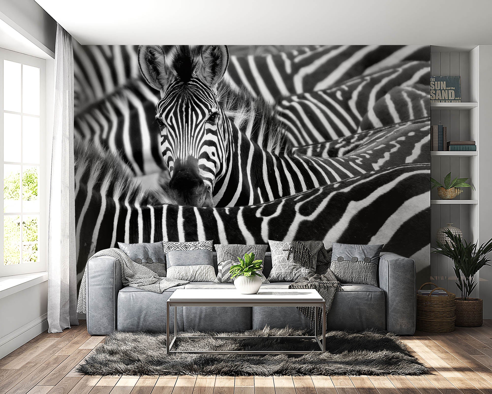 Zebra uitgelicht in kudde - LW00216 Fotobehang