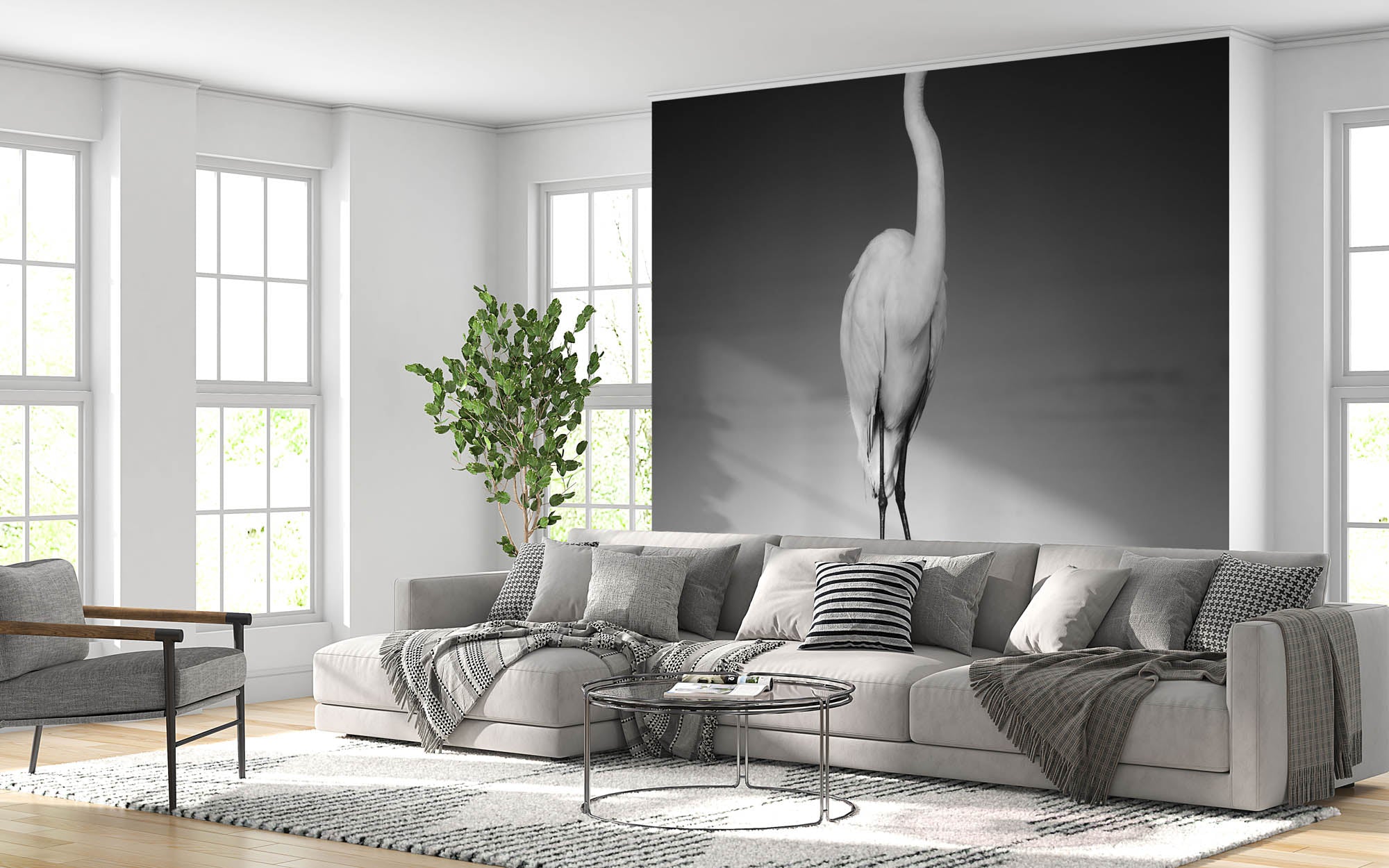 Zilverreiger  - LW00207 Fotobehang