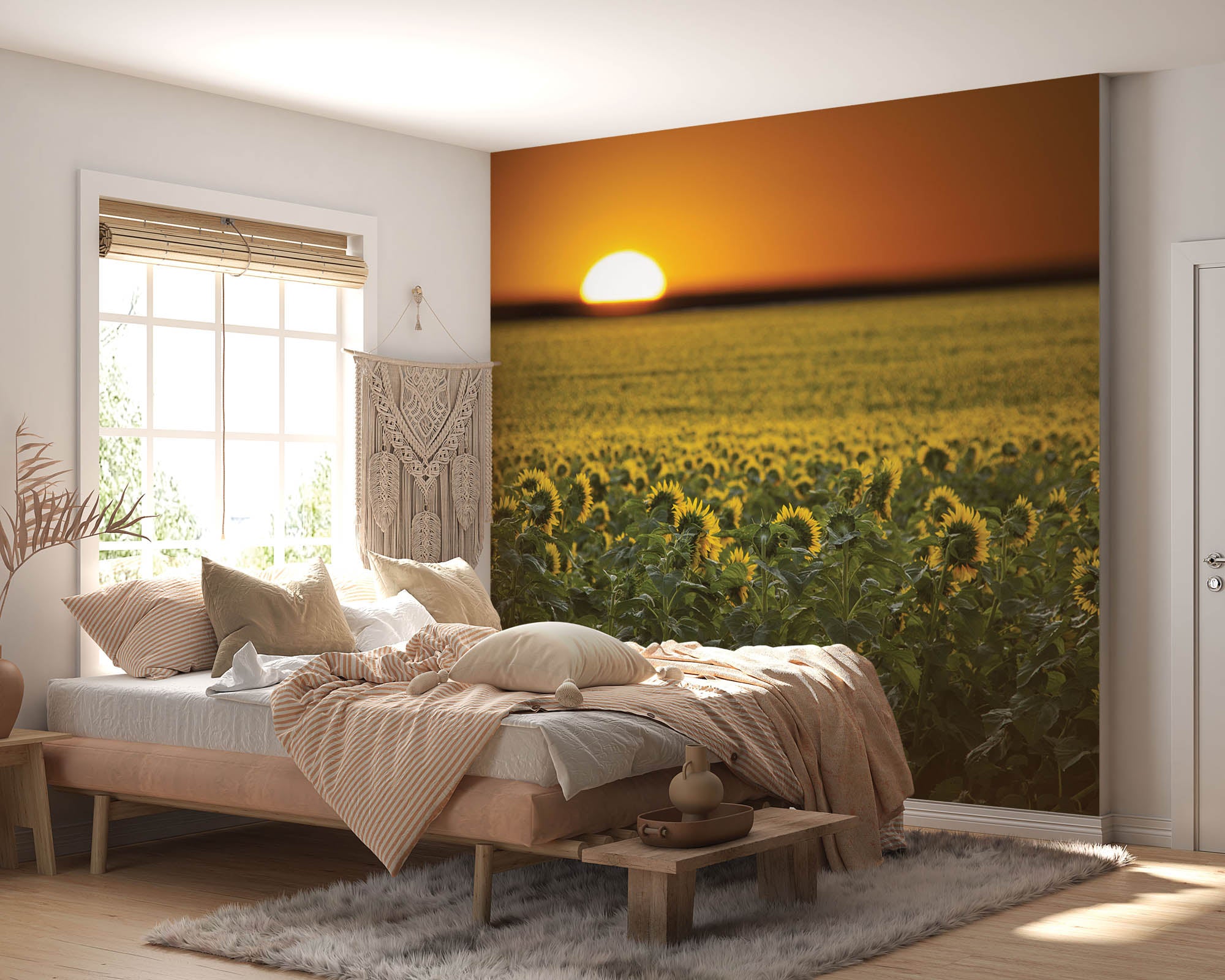 Zonnebloemenveld en zonsopgang  - LW00253 Fotobehang