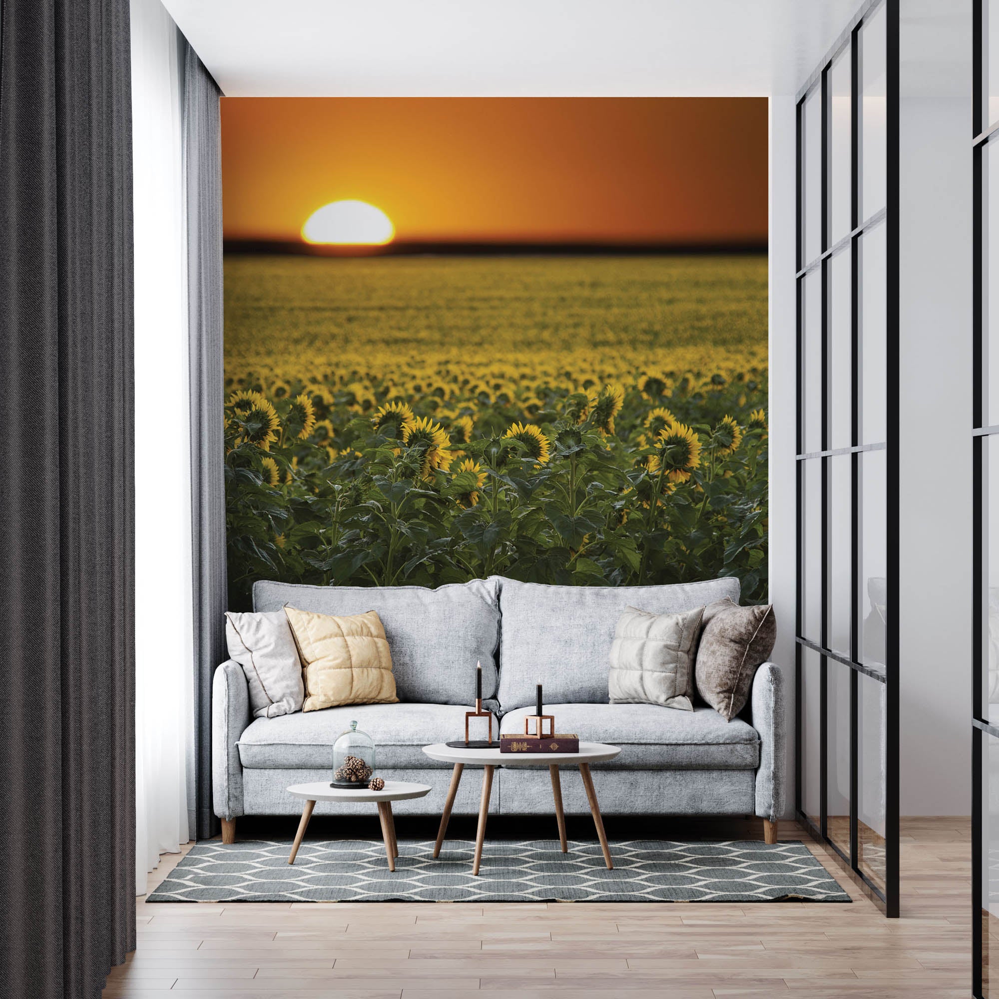 Zonnebloemenveld en zonsopgang  - LW00253 Fotobehang