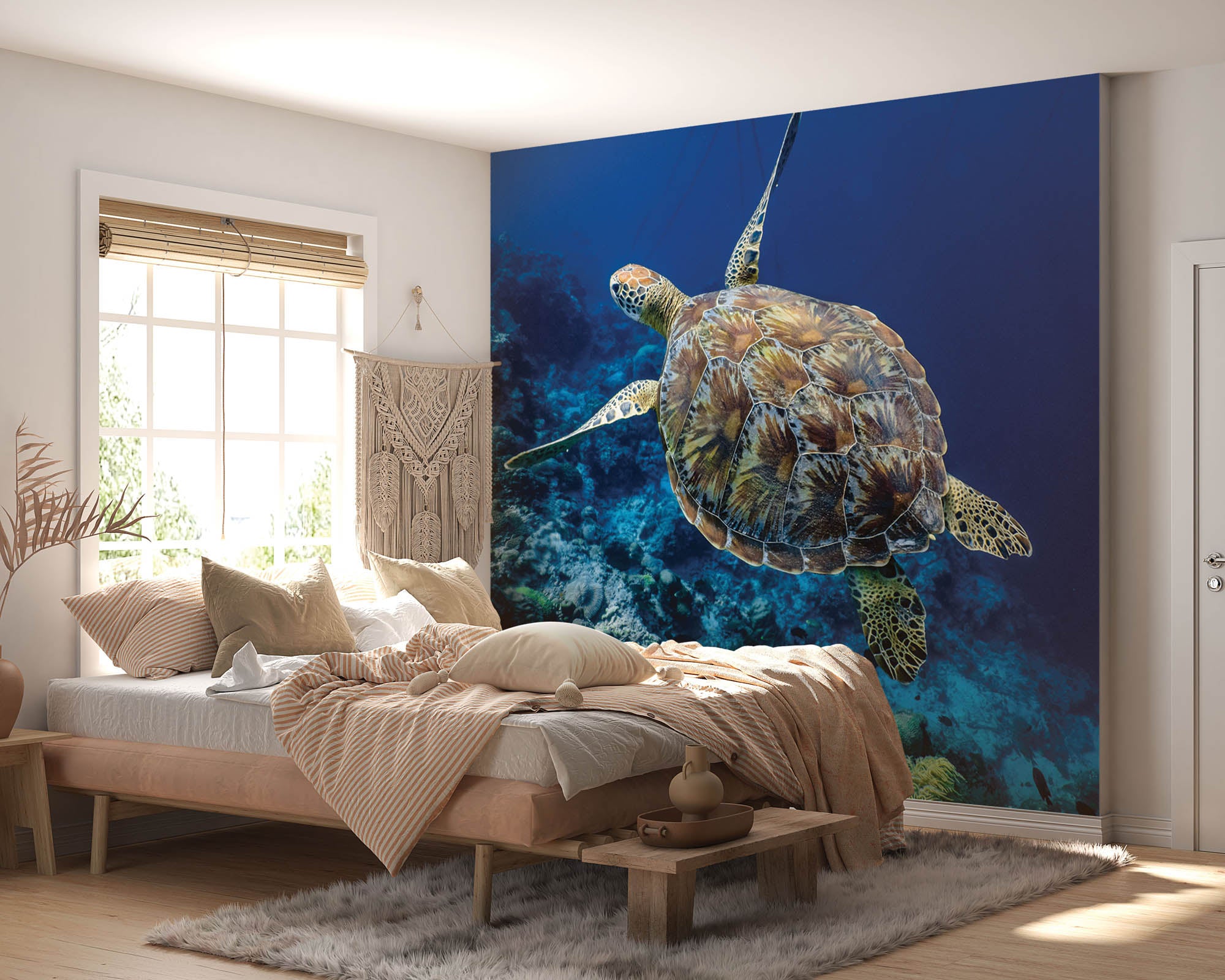 Zwemmende schildpad - LW00188 Fotobehang