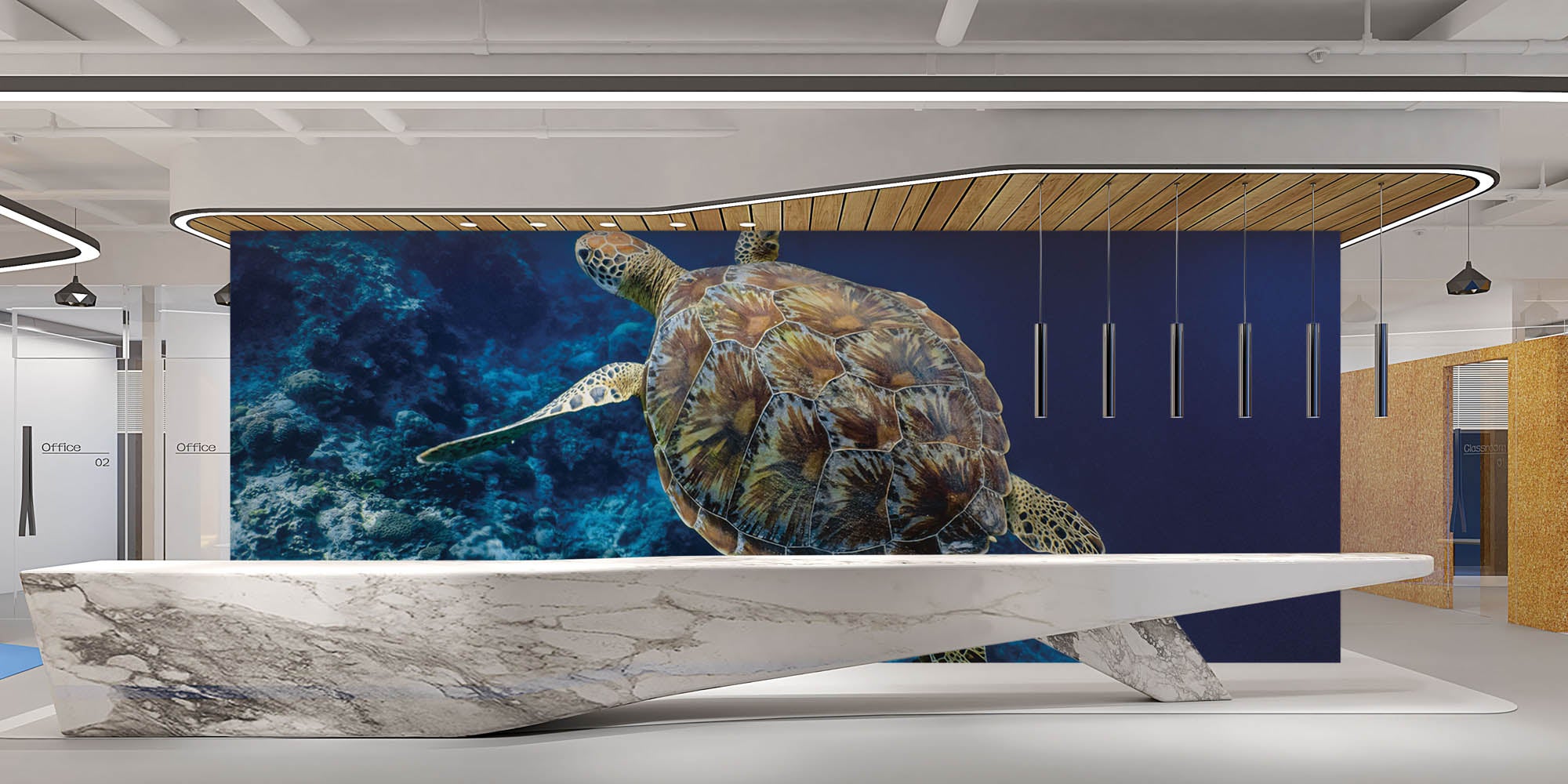 Zwemmende schildpad - LW00188 Fotobehang