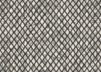 Arte Moooi Wallcovering Extinct Animals Aristo Quagga MO2032