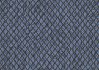 Arte Moooi Wallcovering Extinct Animals Aristo Quagga MO2033