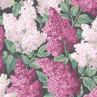 Cole &amp; Son Botanical Lilac 115/1001